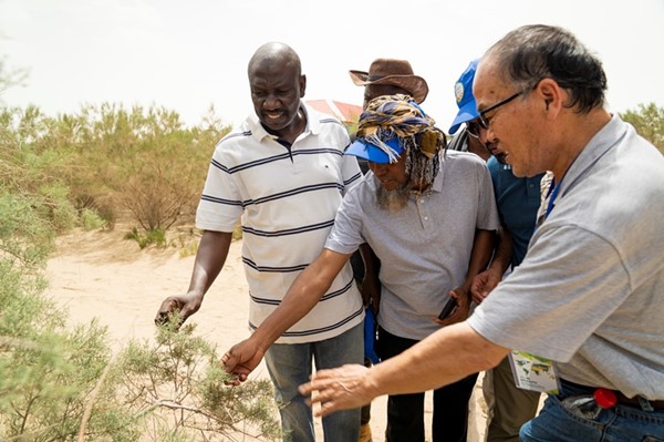 Pakar teknologi Afrika mengikuti lawatan lapangan di sepanjang Lebuh Raya Padang Pasir Tarim di Wilayah Autonomi Uygur Xinjiang. (Foto ikhsan Institut Ekologi dan Geografi Xinjiang dan Akademi Sains China)