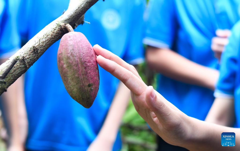 Aktiviti Popularisasi Sains Memfokuskan Koko Diadakan di Hainan