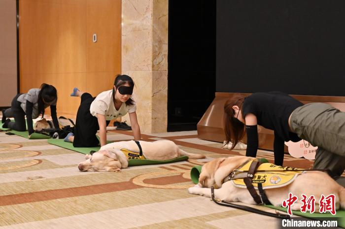 Sekolah Anjing Pemandu Adakan Sesi Yoga Tutup Mata
