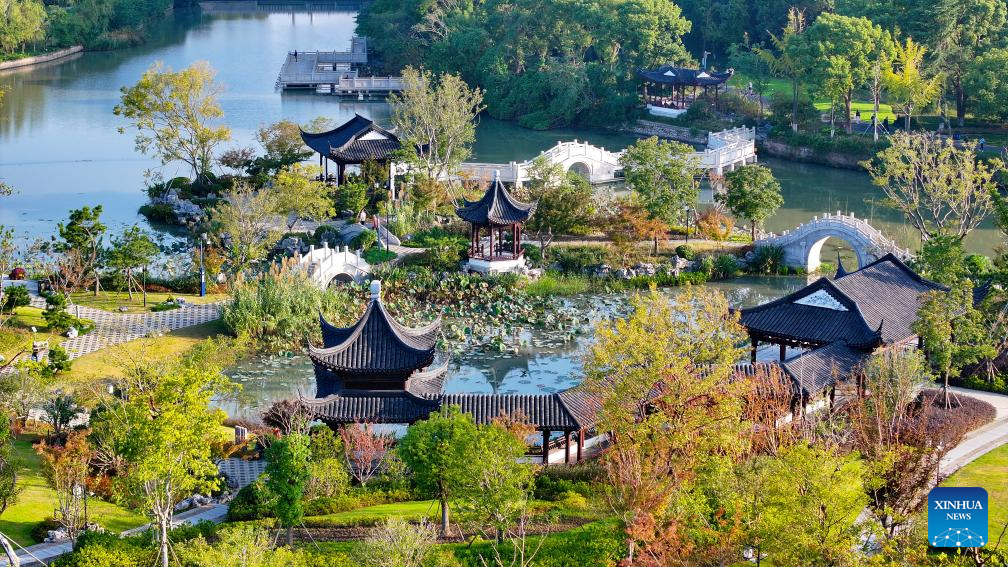 Foto bertarikh 31 Oktober 2024 yang diambil menggunakan dron ini memaparkan pemandangan musim luruh di sebuah taman di Kunshan, Provinsi Jiangsu, timur China. (Wang Xuzhong/Xinhua)