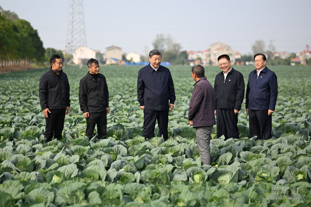 Xi Adakan Tinjauan di Hubei