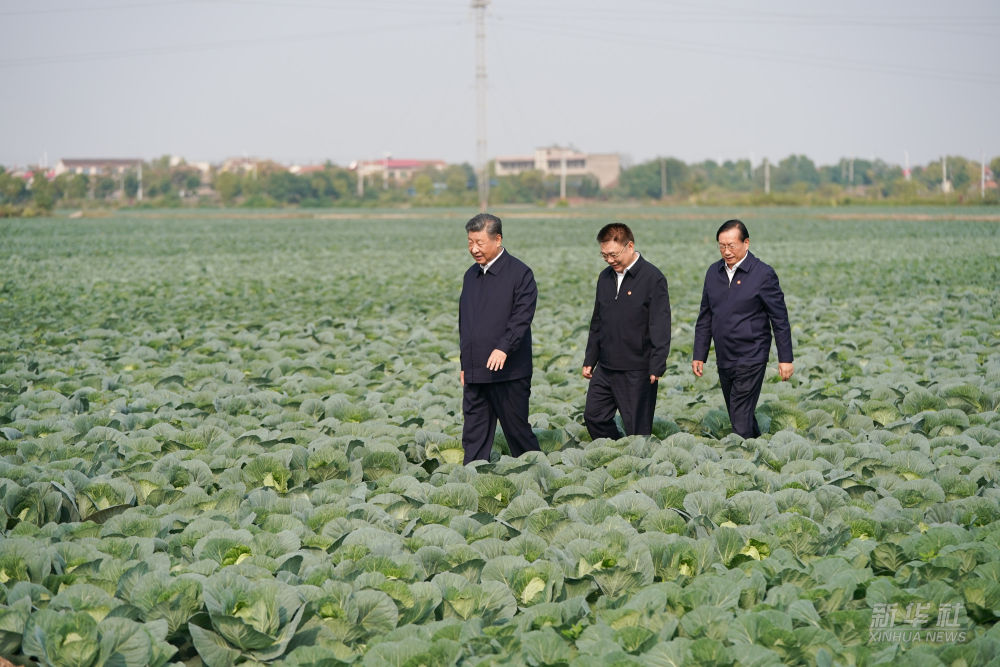 Xi Adakan Tinjauan di Hubei