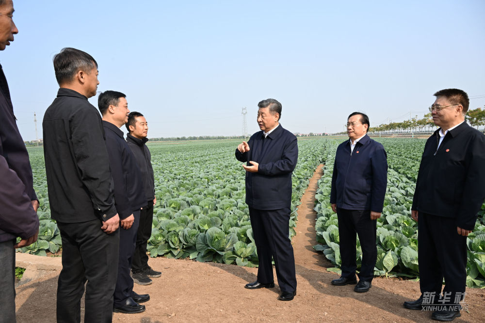 Xi Adakan Tinjauan di Hubei