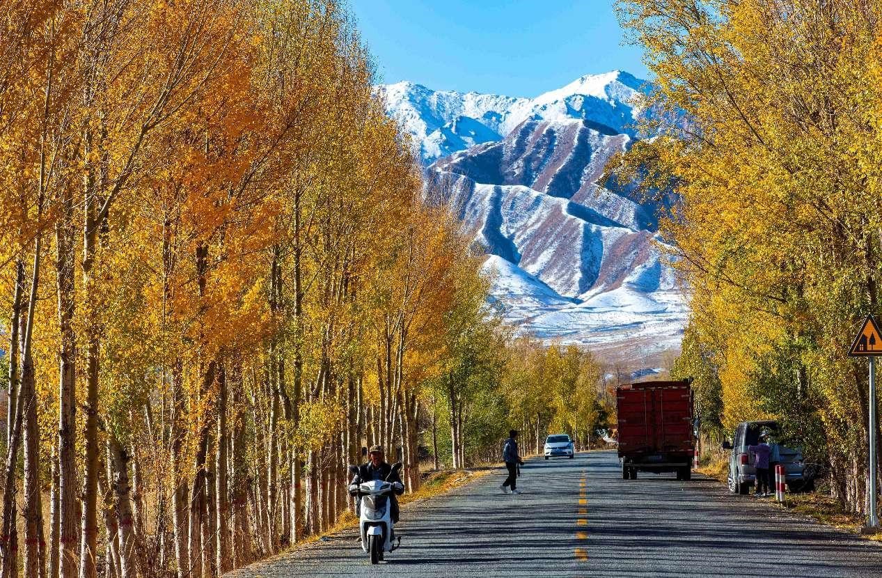 Foto bertarikh 22 Oktober 2024 ini memperlihatkan jalan luar bandar di kampung Huazhai, daerah Ganzhou, di Zhangye, Provinsi Gansu, barat laut China. (People’s Daily Online/Yang Xiao)