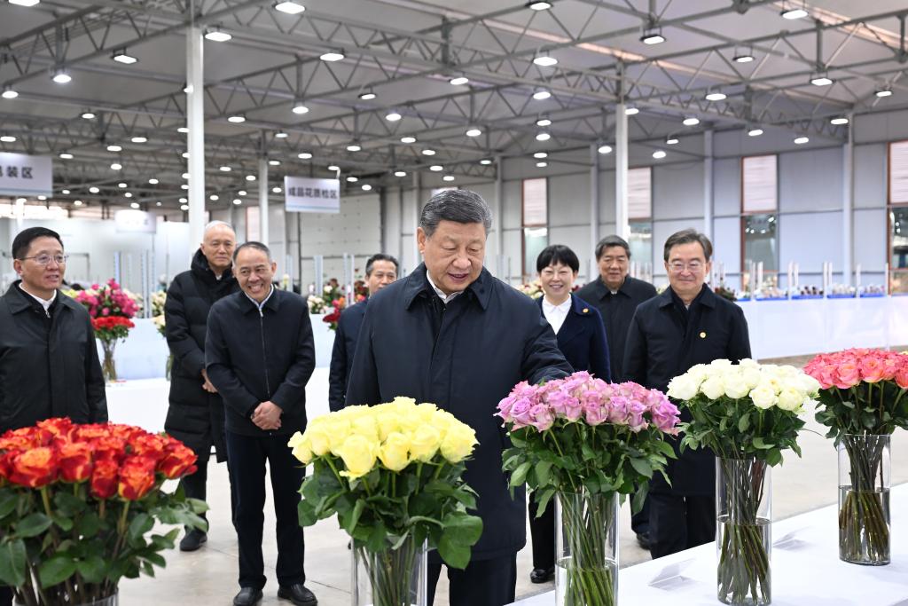 Xi Mahu Yunnan Perkasa Keterbukaan Bertaraf Tinggi