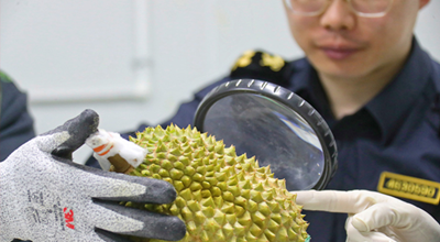 Buah-buahan Malaysia Popular di Pasaran China