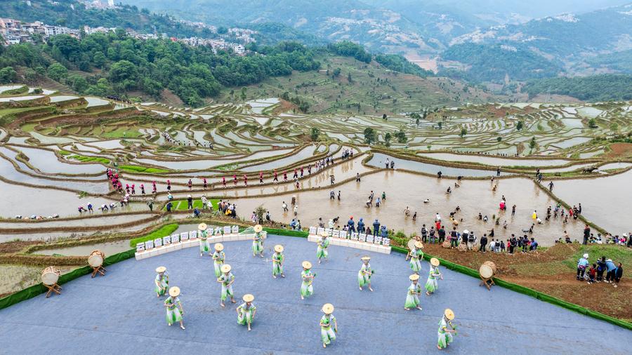 Ekosistem Pertanian Berusia 1,300 Tahun Bersinar di Yunnan