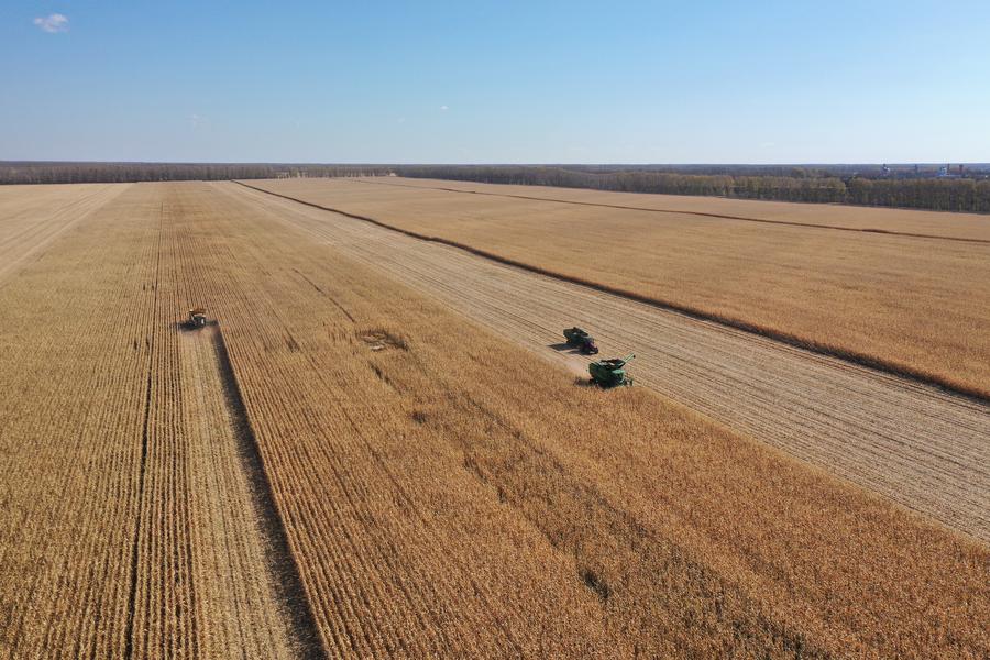 Foto dron ini menunjukkan jentera pertanian di ladang jagung Kumpulan Beidahuang di provinsi Heilongjiang, timur laut China, 12 Oktober 2024. (Xinhua/Wang Song)