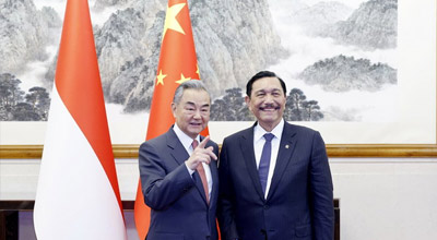 Wang Yi Bertemu Pengerusi Majlis Ekonomi Nasional Indonesia