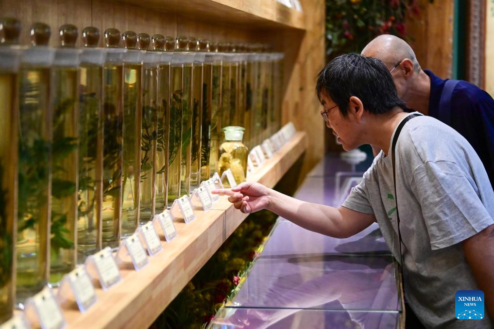 Foto pelancong sedang melawat muzium lavendar di Kaunti Huocheng, Wilayah Autonomi Uygur Xinjiang, di barat laut China pada 14 Jun 2025. (Xinhua/Ding Lei)