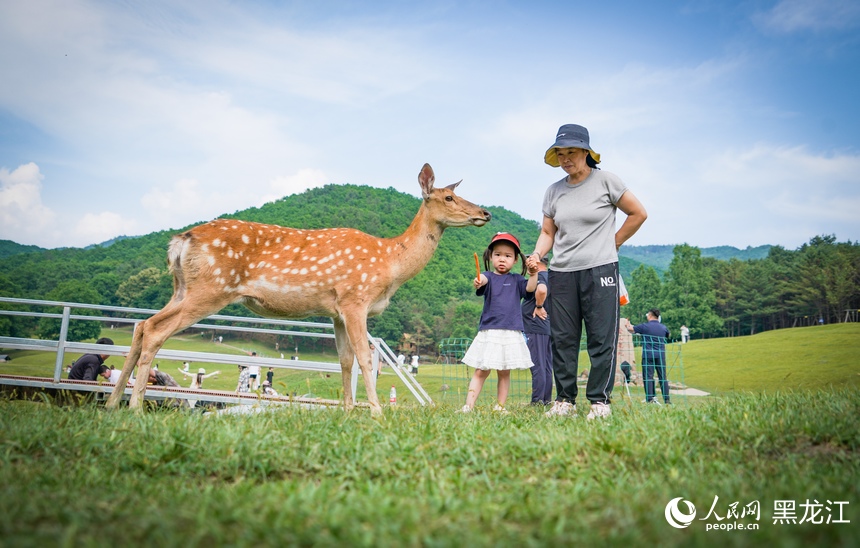 Taman Rusa di Heilongjiang Jadi Tumpuan Pelancong