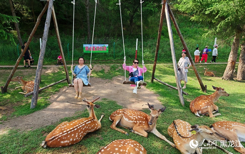 Taman Rusa di Heilongjiang Jadi Tumpuan Pelancong