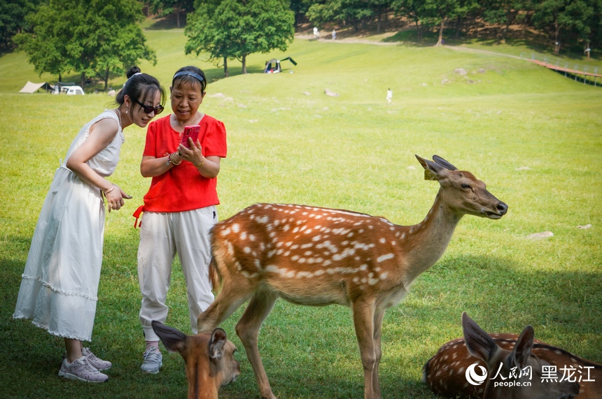Taman Rusa di Heilongjiang Jadi Tumpuan Pelancong