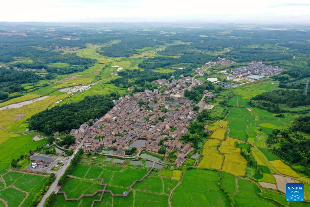 Foto dron bertarikh 9 Julai 2025 ini menunjukkan pemandangan Kampung Zhuqiao di kaunti Jinxi, bandar Fuzhou, provinsi Jiangxi, timur China. (Xinhua/Liu Jinhai)