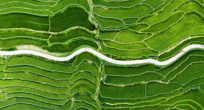 Sungai Lancang: Pemandangan Ladang Teres Musim Panas dari Udara