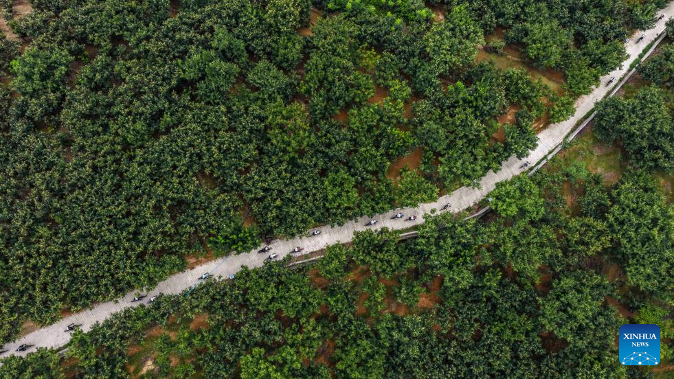 Foto sudut udara bertarikh 8 Ogos 2025 ini memperlihatkan sekumpulan amatur menunggang motosikal di Pekan Sujiawa, Bandar Zunhua di Provinsi Hebei, utara China. (Xinhua/Liu Mancang)