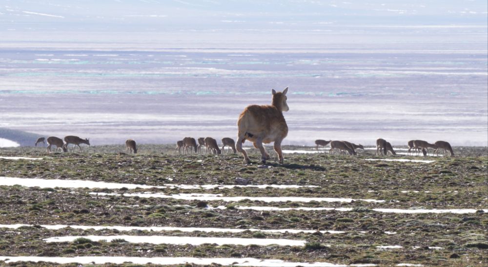 (Foto/Xinhua)