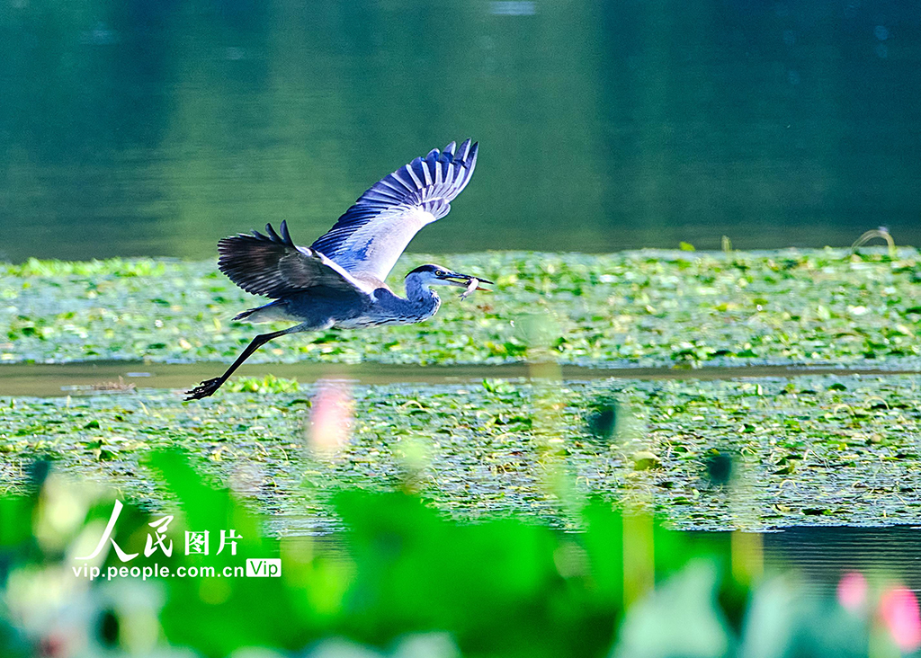 (Foto oleh Shi Jiamin)