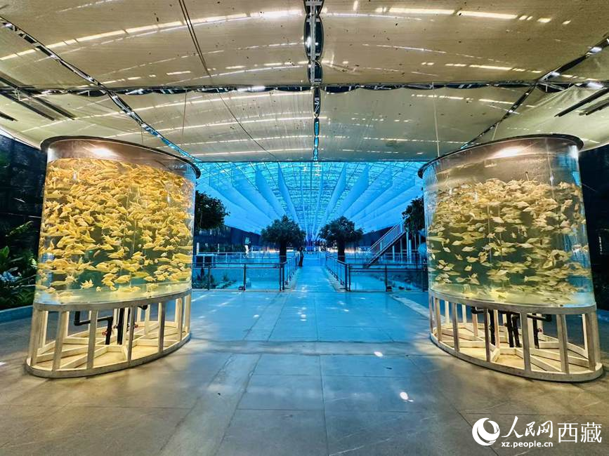 Pemandangan di Taman Lautan Pertanian Xipu di kaunti Chanang, bandar Shannan, Wilayah Autonomi Xizang, barat daya China. (People’s Daily Online/Tsering Norbu)