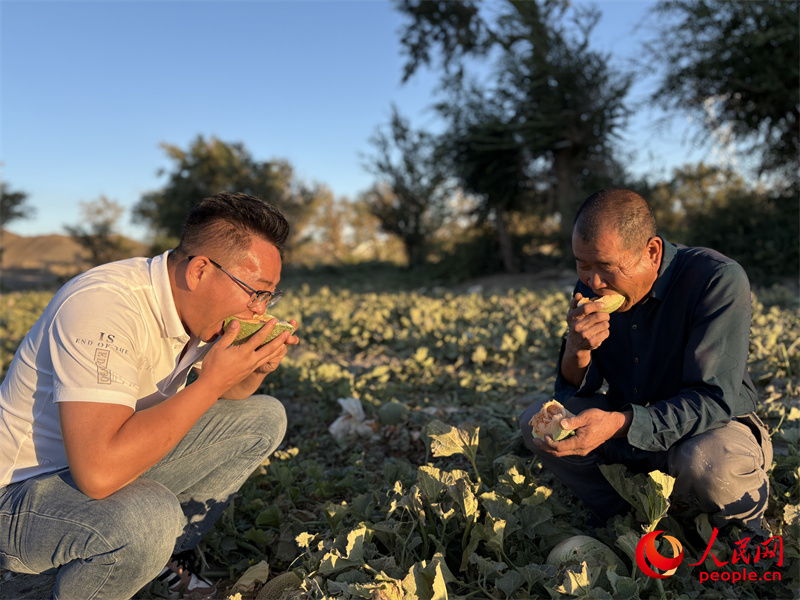 Bekas Ahli Korporat Temui Kejayaan Dengan Melon Hami di Xinjiang