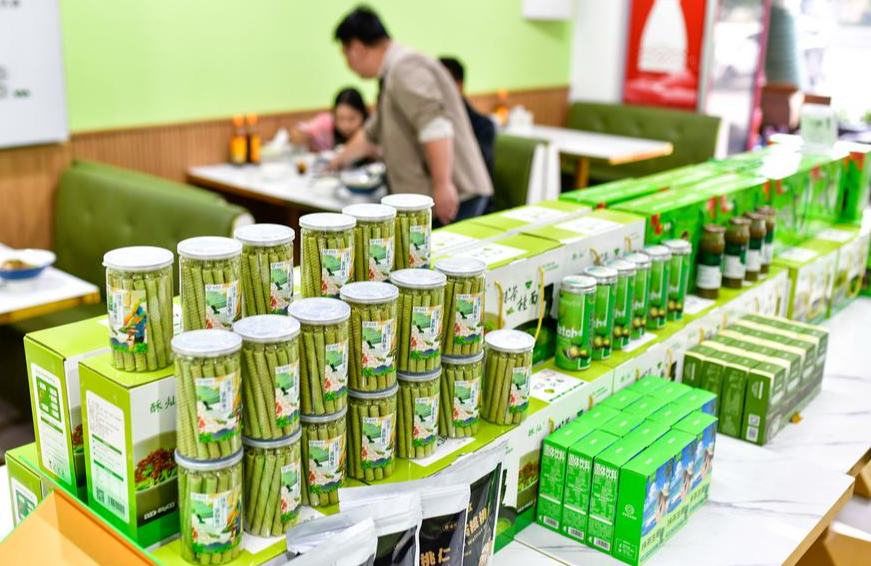 Matcha Semakin Versatil, Dorong Pendapatan 110,000 Pekebun Teh di Tongren