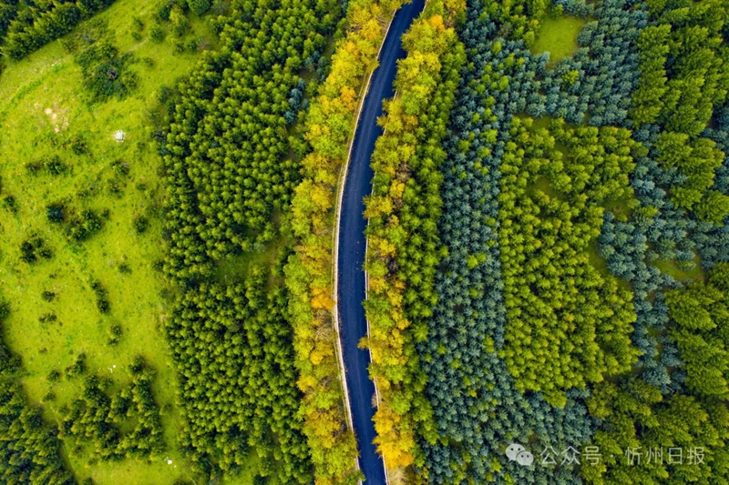 3.	Foto memaparkan sebuah gunung di Gunang Wutai. ( Foto oleh Yong Guojun)