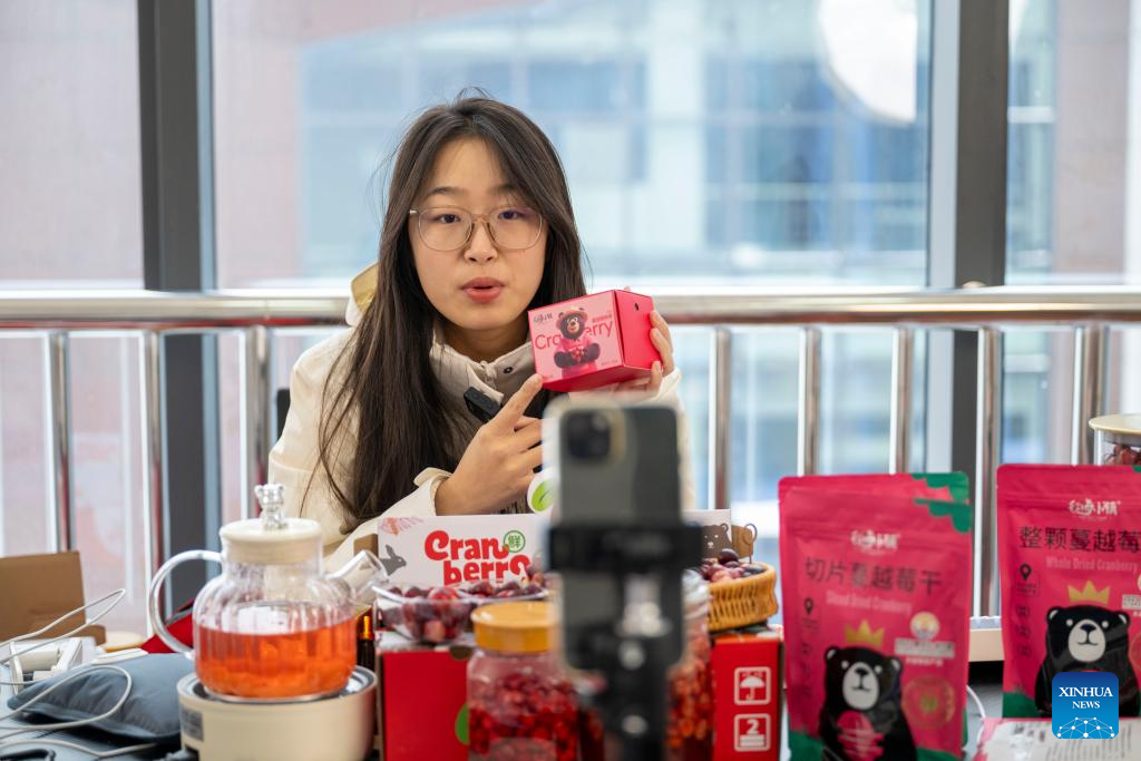 Seorang petugas mempromosi produk kranberi menerusi penstriman langsung di Bandar Fuyuan, Provinsi Heilongjiang, timur laut China pada 7 November 2025. (Xinhua/Zhang Tao)