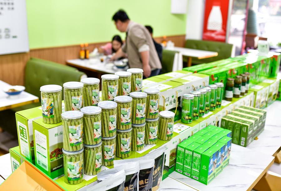 Industri Matcha Tongren Harum di Pentas Global