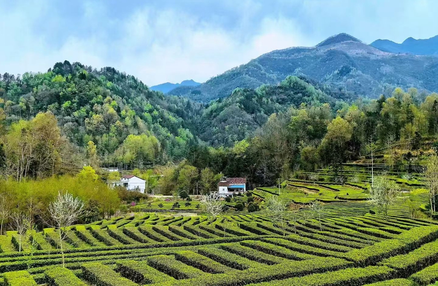 Kampung Purba di Shaanxi Terima Suntikan Daya Hidup Baharu