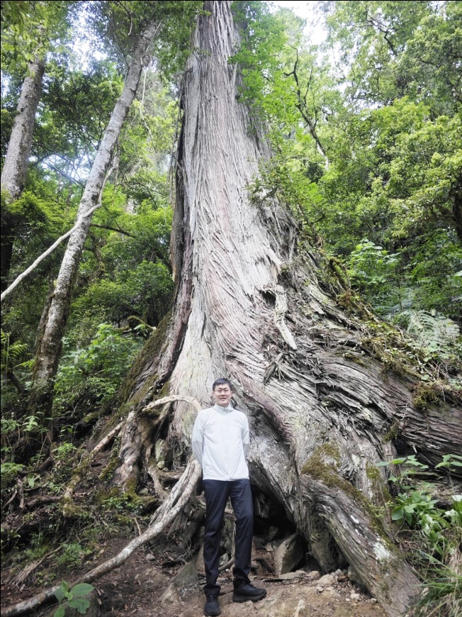 Guo Qinghua bergambar dengan pokok tertinggi di Asia. (Foto oleh Guo Qinghua)