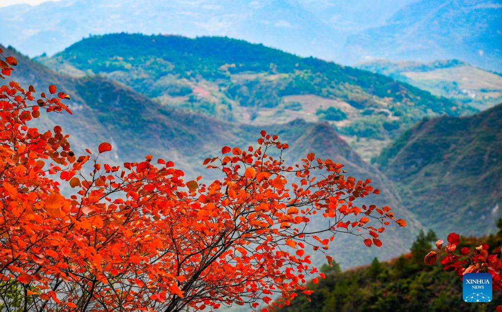 Foto bertarikh 23 November 2025 ini memaparkan panorama kawasan peranginan Gaung Wuxia, salah satu daripada Tiga Gaung Sungai Yangtze, di Wushan, Chongqing, barat daya China. (Xinhua/Wang Quanchao)