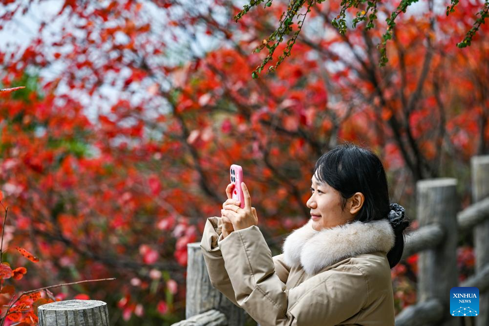 Seorang pelancong mengambil gambar di kawasan peranginan Gaung Wuxia, salah satu daripada Tiga Gaung Sungai Yangtze, di Wushan, Chongqing, barat daya China, 23 November 2025. (Xinhua/Wang Quanchao)