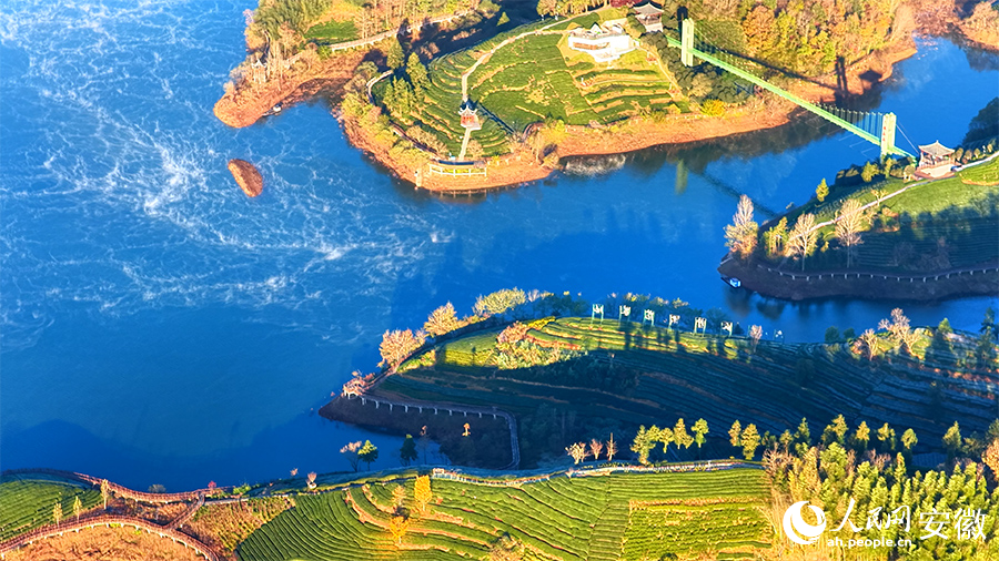 Pemandangan Menakjubkan Taman Bertemakan Teh Diselubungi Kabus Pagi di Anhui