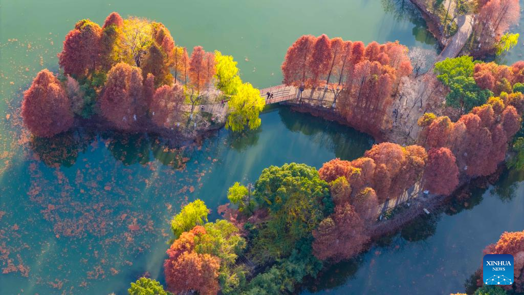 Foto dron bertarikh 16 Disember 2025 menunjukkan panorama musim sejuk Taman Jingfeng di bandar Kunshan, provinsi Jiangsu, timur China. (Foto oleh Wang Xuzhong/Xinhua)