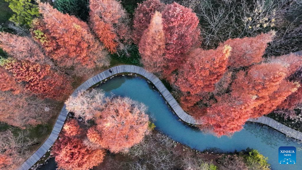 Foto dron bertarikh 16 Disember 2025 menunjukkan panorama musim sejuk kawasan peranginan Tasik Barat Lampai di Yangzhou, provinsi Jiangsu, timur China. (Foto oleh Qi Liguang/Xinhua)