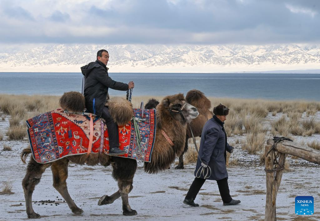 Seorang gembala (kiri) menunggang unta di pinggir Tasik Sayram di daerah autonomi Mongol Bortala, Wilayah Autonomi Uygur Xinjiang, barat laut China, 15 Disember 2025. (Xinhua/Wang Fei)