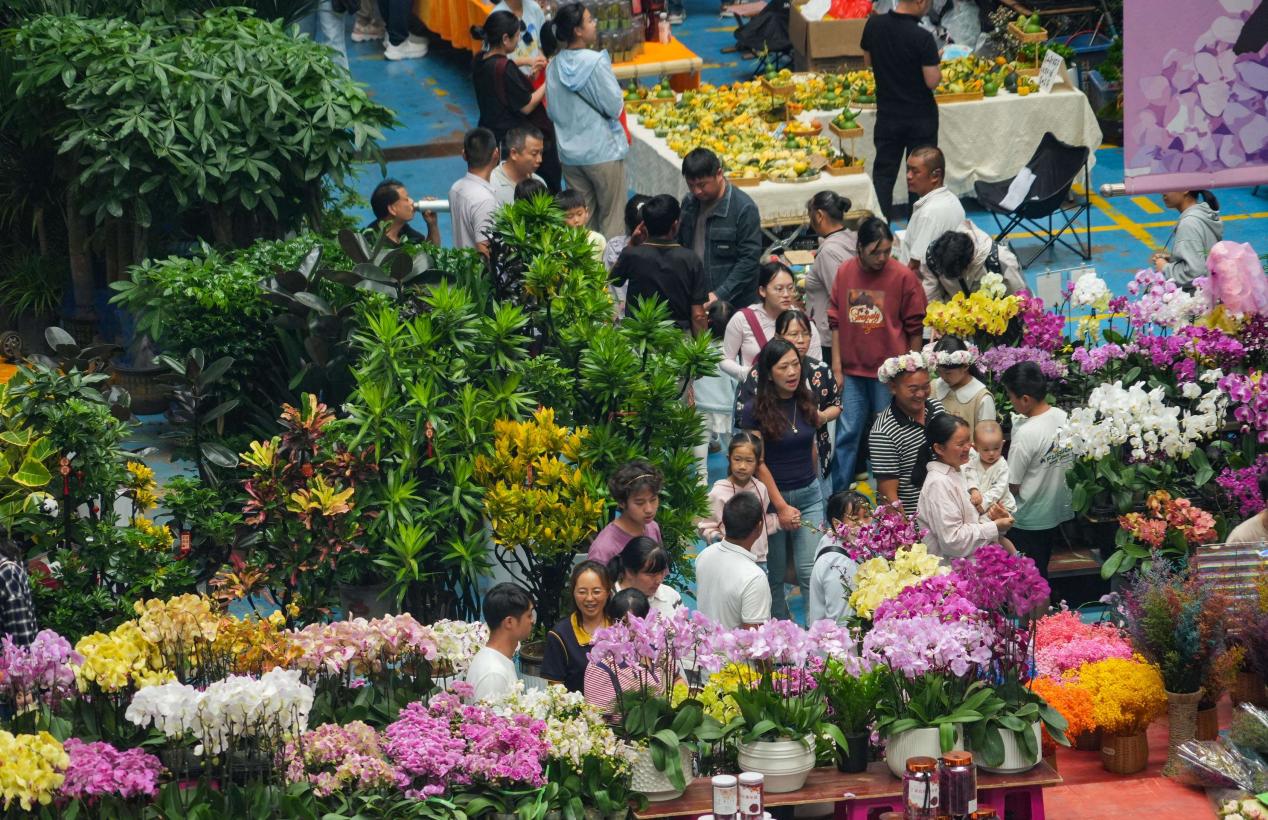 Foto menunjukkan Pasar Bunga Dounan di Kunming, provinsi Yunnan, barat daya China. (Foto/Zheng Yi)