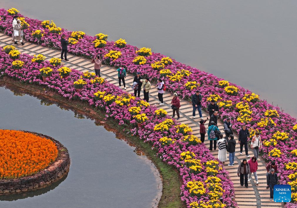 Foto dron bertarikh 3 Januari 2026 menunjukkan pelancong melihat bunga kekwa di sebuah kawasan peranginan di Nanning, Wilayah Autonomi Zhuang Guangxhi, selatan China. (Xinhua/Zhou Hua)