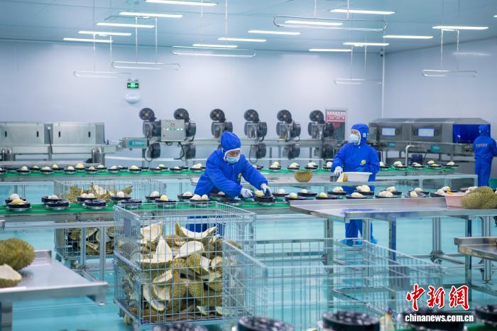 Durian Sejuk Beku Indonesia Masuki Pasaran China