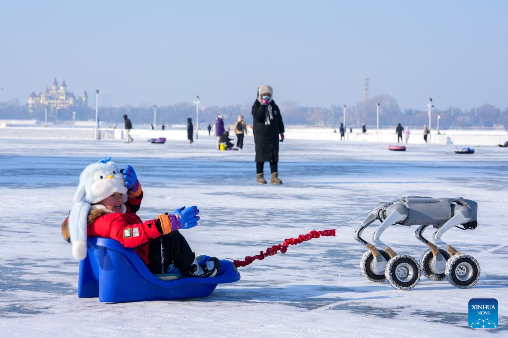 Seorang kanak-kanak menaiki kereta luncur salji yang ditarik oleh anjing robot di permukaan beku Sungai Songhua di Harbin, provinsi Heilongjiang, timur laut China, 11 Januari 2026. (Xinhua/Wang Jianwei)