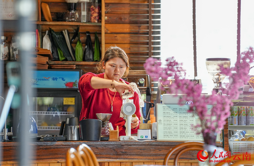 Lewat Musim, Petani di Yunnan Sibuk Tuai Kopi