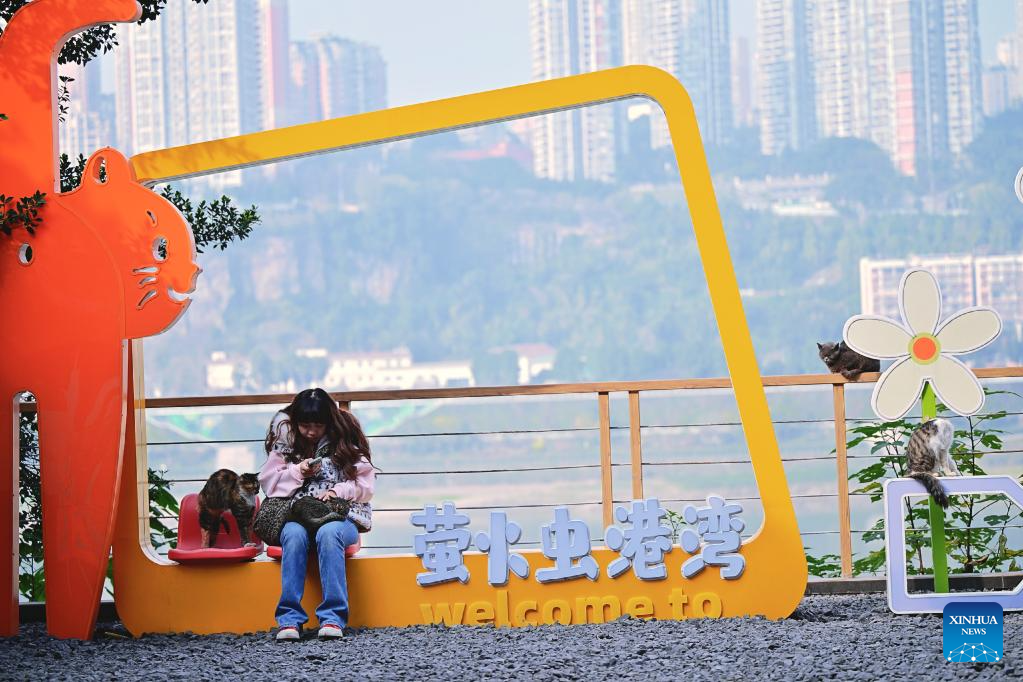 Dulu Lot Kosong, Kini Taman Kucing