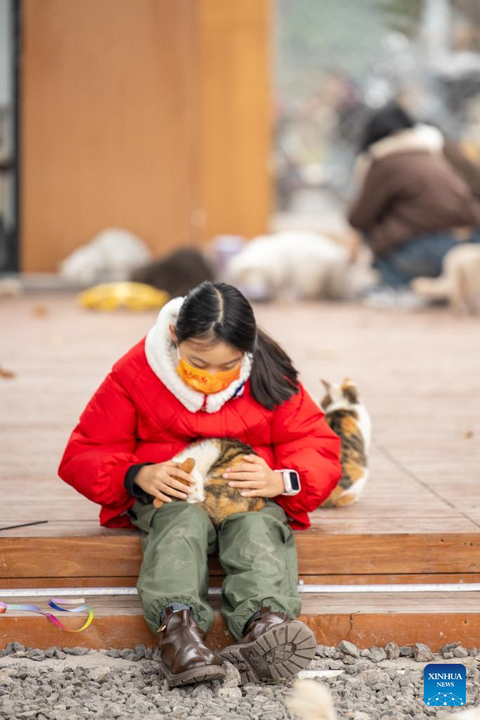 Dulu Lot Kosong, Kini Taman Kucing