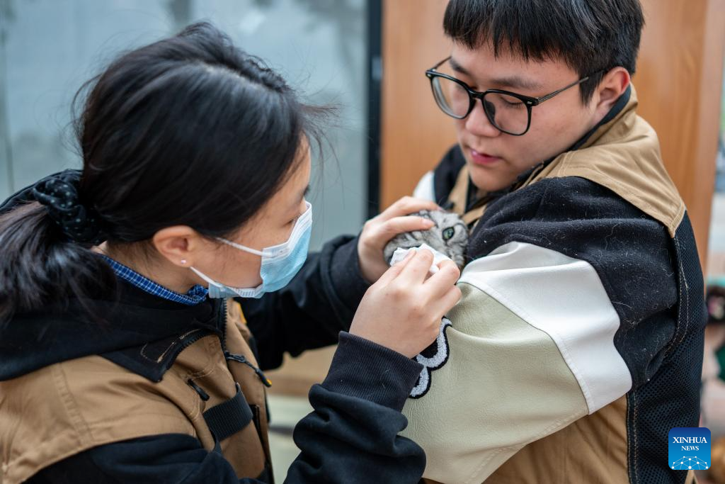 Dulu Lot Kosong, Kini Taman Kucing