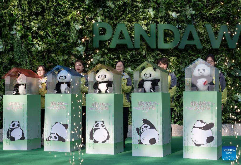 Penjaga meletakkan patung panda di dalam “rumah baharu” pada satu majlis pembukaan semula di Panda World, Fuzhou, provinsi Fujian, tenggara China, 17 Januari 2026. (Xinhua/Wei Peiquan)