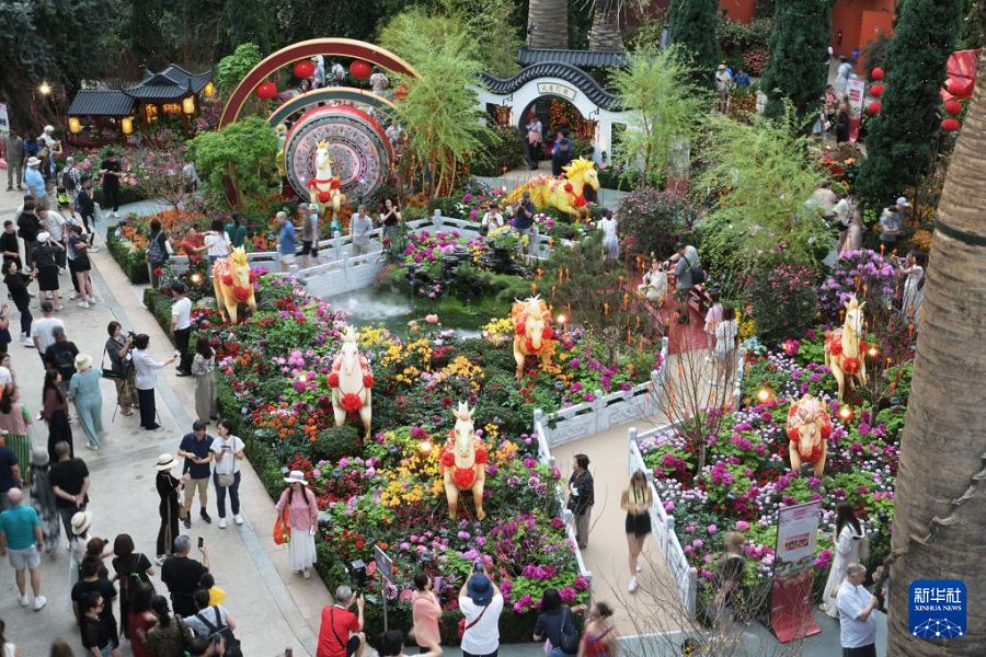 Lapan Kuda Bawa Keajaiban TBC ke Singapura