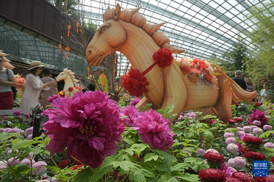 Lapan Kuda Bawa Keajaiban TBC ke Singapura