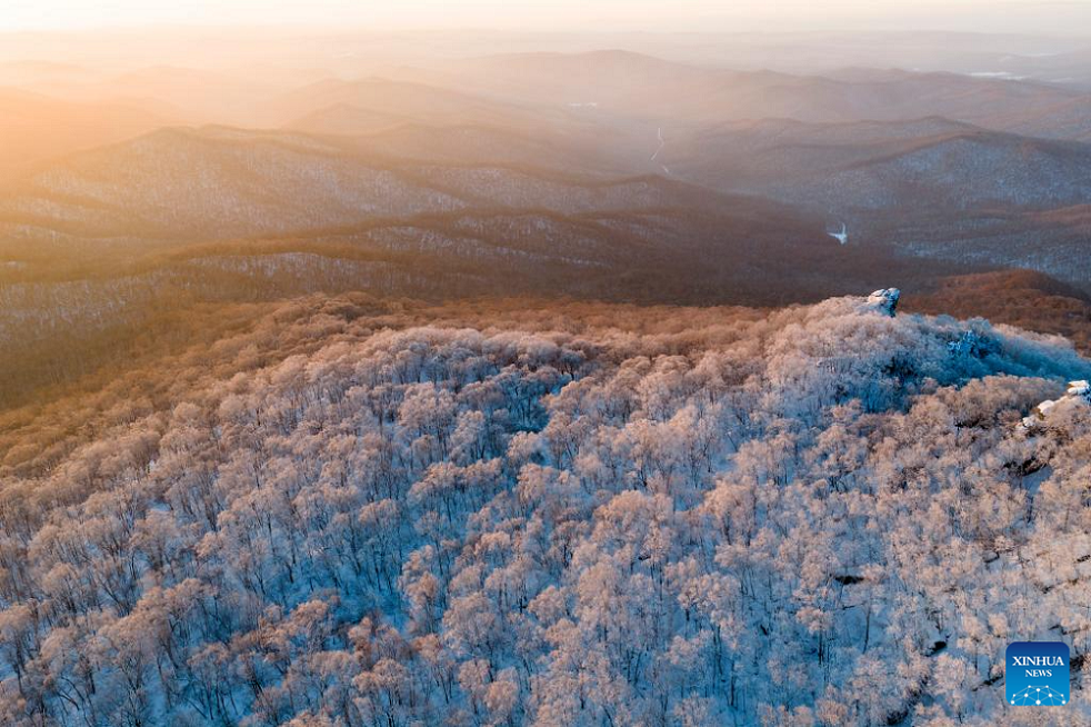 Pemandangan Rime di Taman Hutan Qixingshan, Heilongjiang