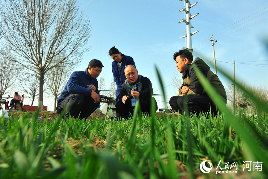 Penyelidik pengembangan pertanian Wang Qing’an (tengah) memberi tunjuk ajar kepada Feng Qinyuan (kiri) dan petani lain mengenai amalan pengurusan tanaman secara saintifik untuk penanaman musim bunga di kaunti Huojia, Xinxiang, provinsi Henan, tengah China. (People's Daily Online/Shang Mingzhen)