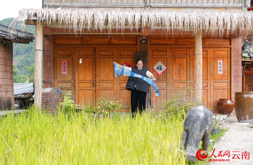 Huang Lin membuat tekstil ikat celup di bengkelnya di kampung Nakeli, kaunti autonomi Hani dan Yi Ning’er, provinsi Yunnan, barat daya China. (People's Daily Online/Hu Zunhui)